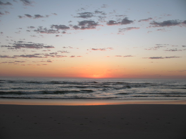 2009年第17届世界移植运动会  专题报道