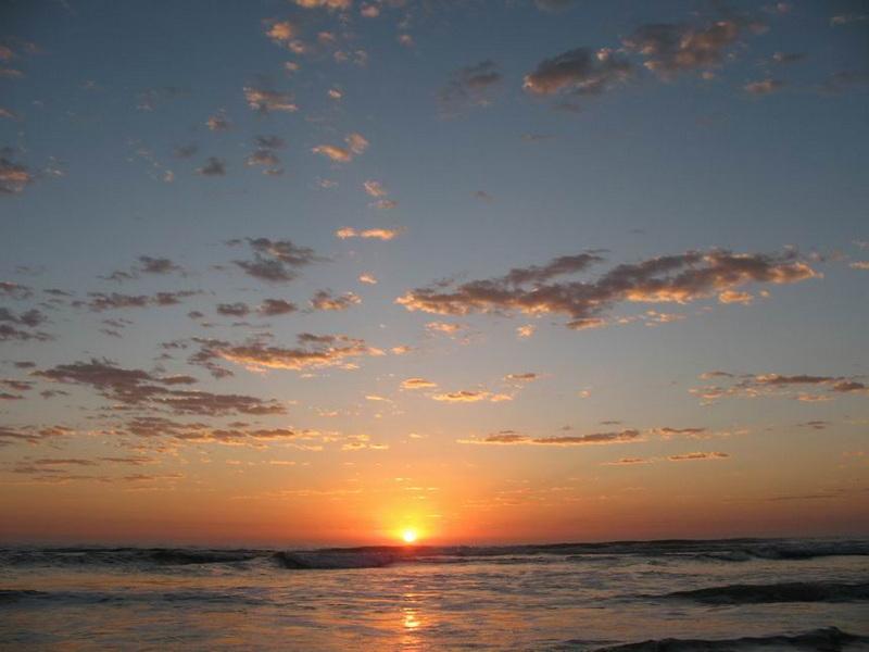 2009年第17届世界移植运动会  专题报道