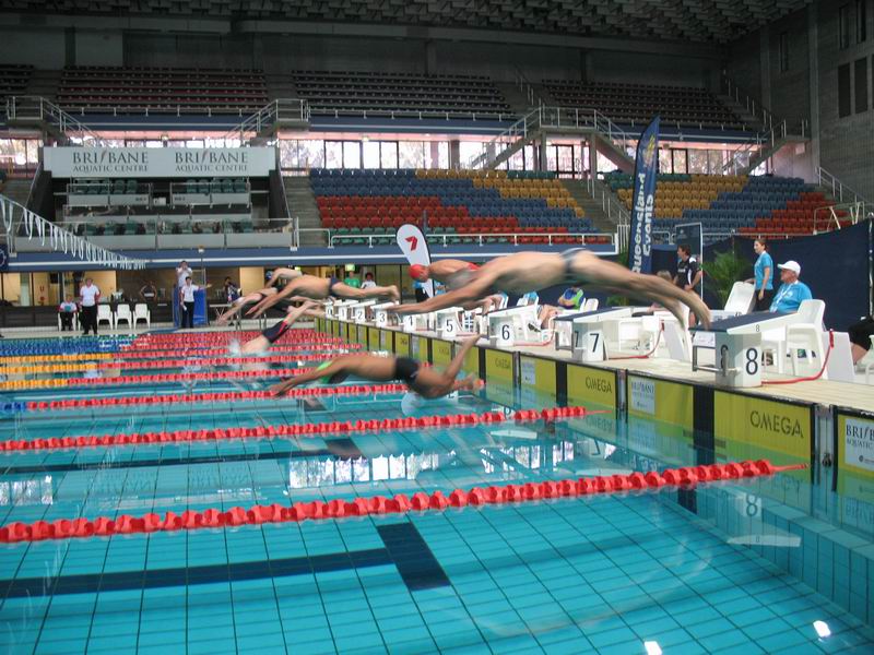 2009年第17届世界移植运动会  专题报道