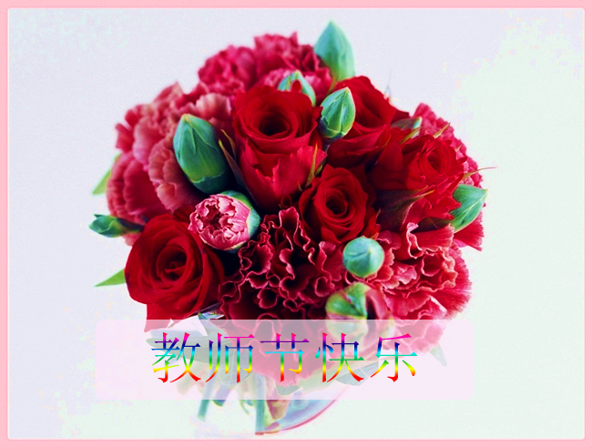 祝福论坛的教师朋友，教师节快乐了