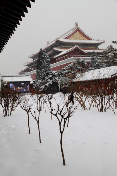 [原创]新年瑞雪