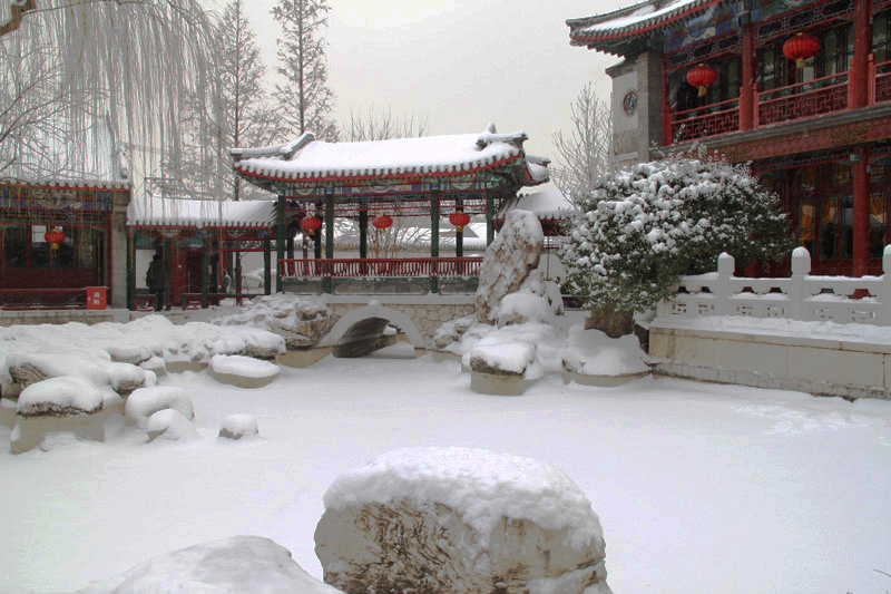 [原创]新年瑞雪
