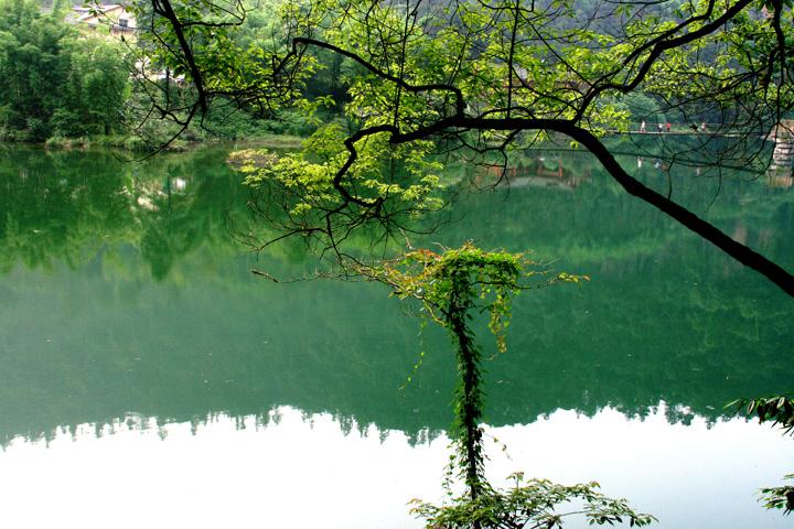 【原创】加明虎年摄影专辑 (不断增添中)－四川风光分享