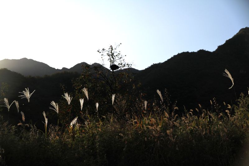 秋高气爽，喜迎宾朋；移友相聚，燕山之行