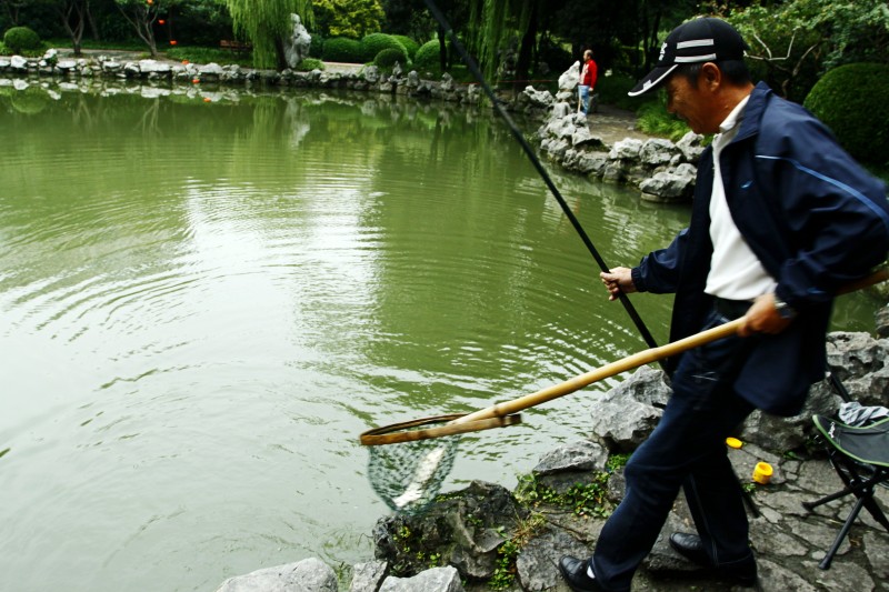 上海各大公园动态