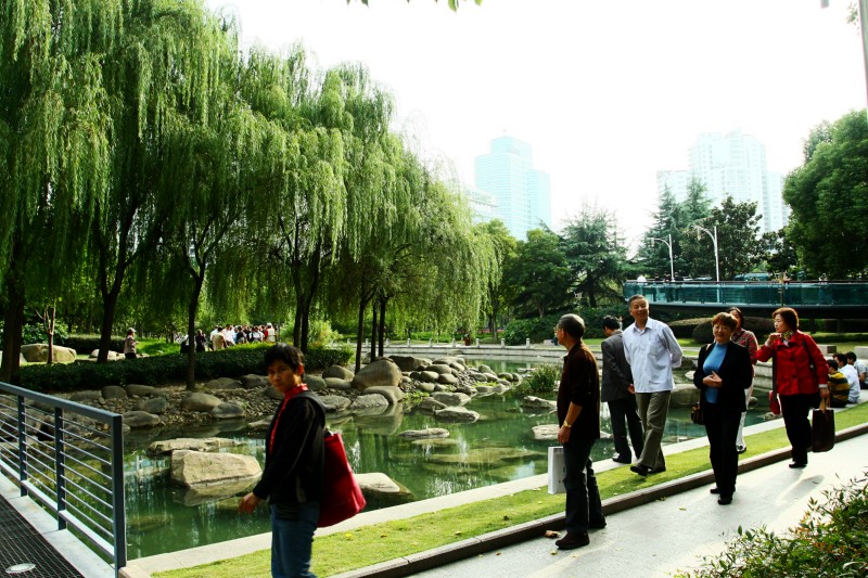 上海各大公园动态
