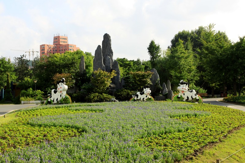 中国盆景精品