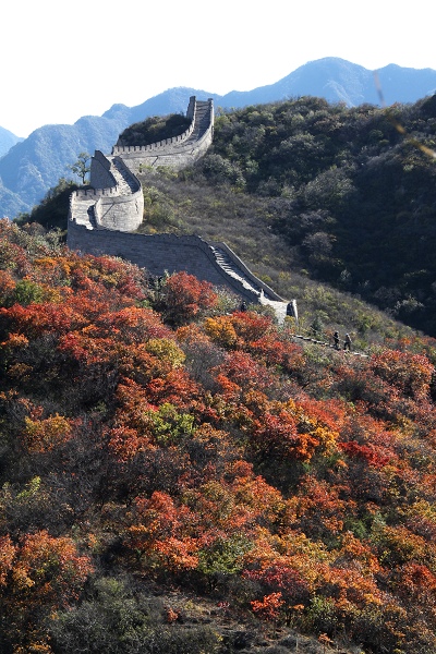 [原创]八达岭深秋赏红叶