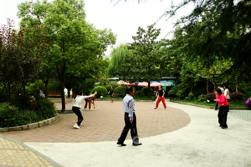 上海各大公园动态