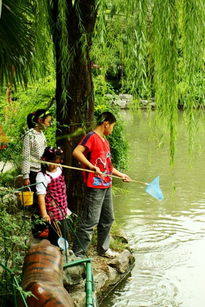上海各大公园动态