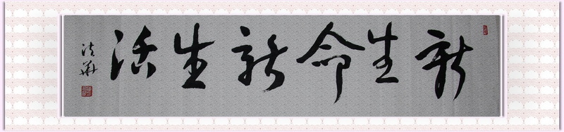 [原创]开始练笔