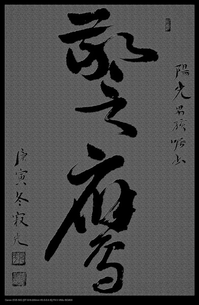 [原创]开始练笔
