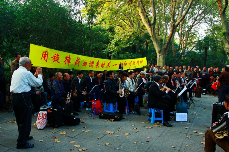 上海各大公园动态