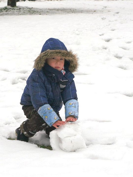 【原创】加明虎年摄影专辑 (不断增添中)