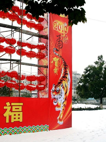 【原创】加明虎年摄影专辑 (不断增添中)