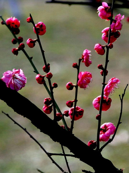V8JbwE0N.jpg
