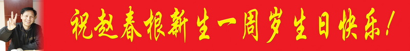 隆重祝贺又一村进入新生十岁行列