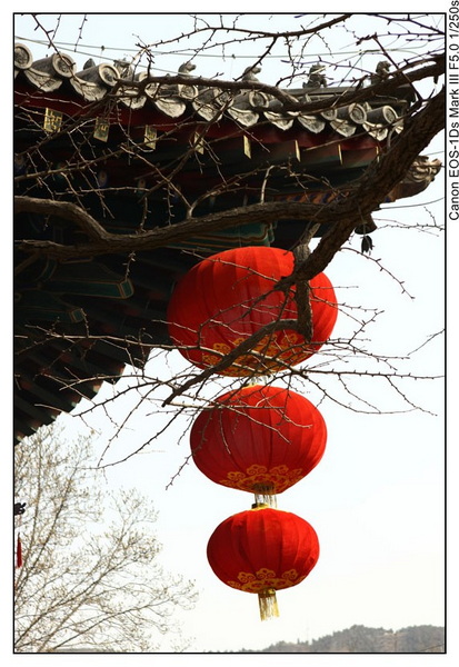 [推荐]早春健步踏红螺