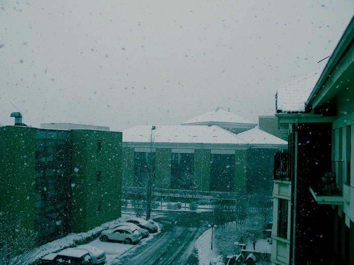春雪