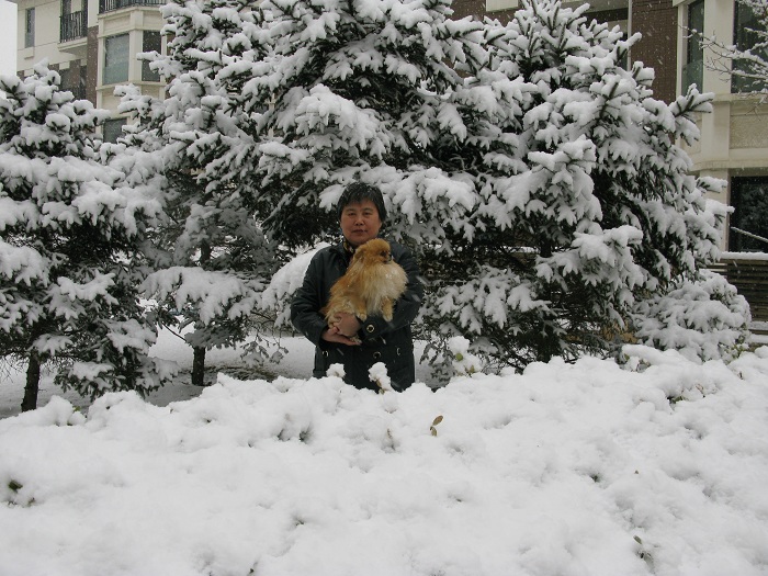 春雪