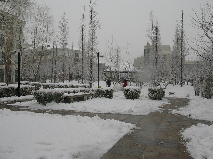 春雪