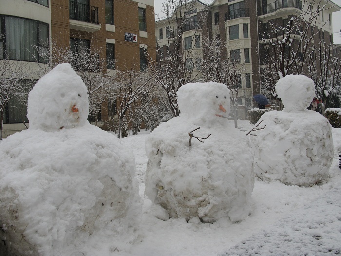 春雪