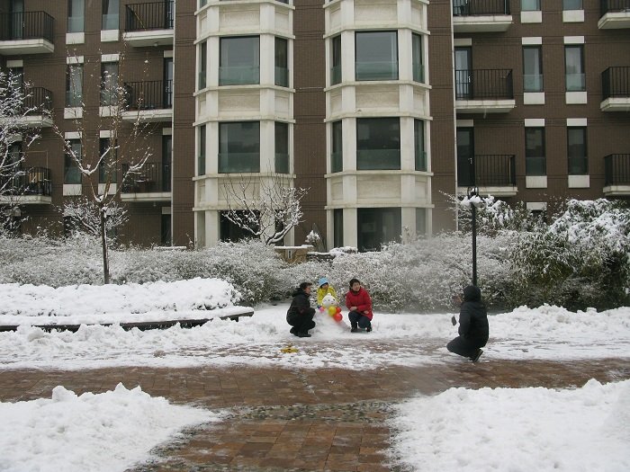 春雪
