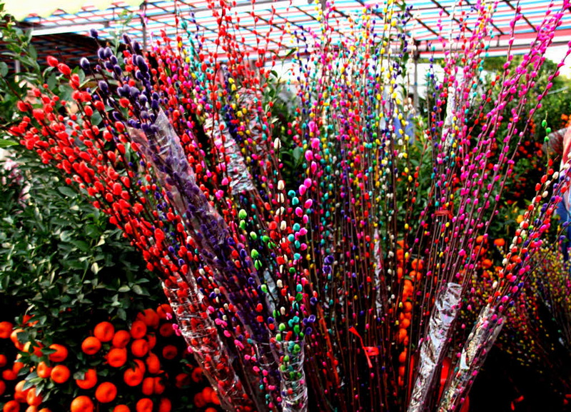 春节逛花市