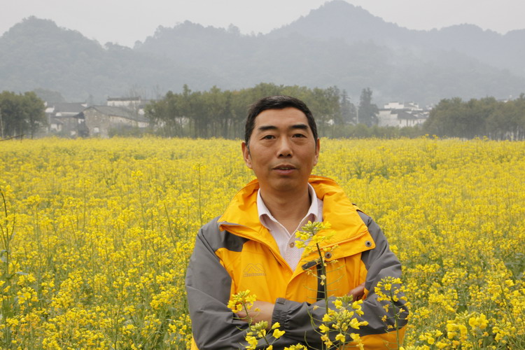 黄花盛开的时节