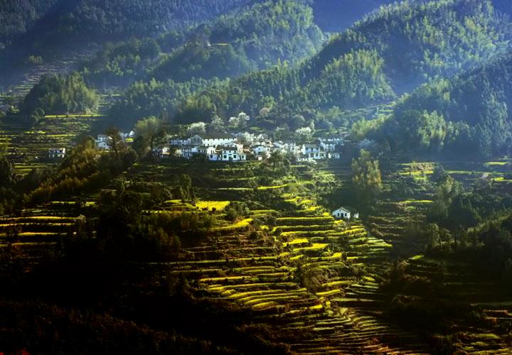 【原创】加明虎年摄影专辑 (不断增添中)