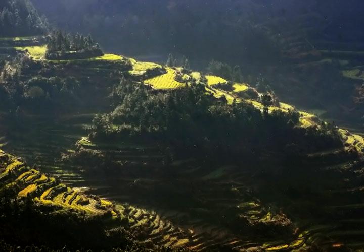 【原创】加明虎年摄影专辑 (不断增添中)