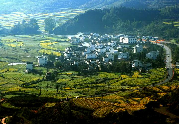 【原创】加明虎年摄影专辑 (不断增添中)