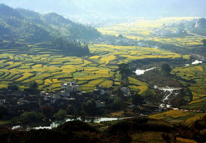 【原创】加明虎年摄影专辑 (不断增添中)