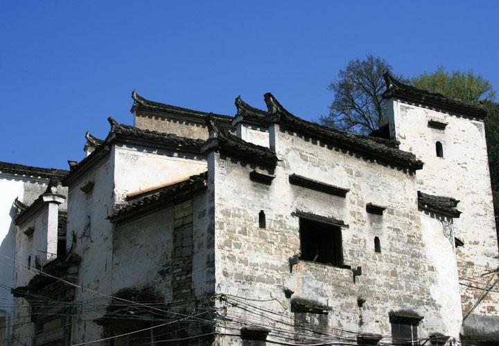 【原创】加明虎年摄影专辑 (不断增添中)