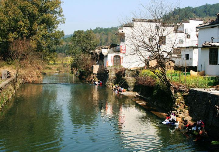 【原创】加明虎年摄影专辑 (不断增添中)
