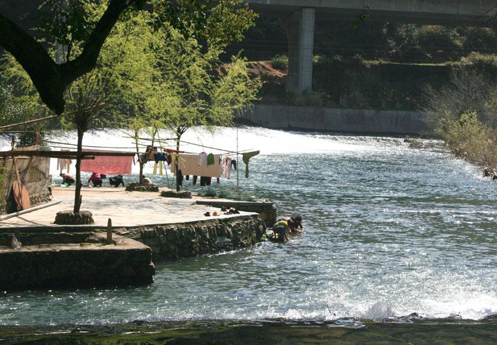 【原创】加明虎年摄影专辑 (不断增添中)