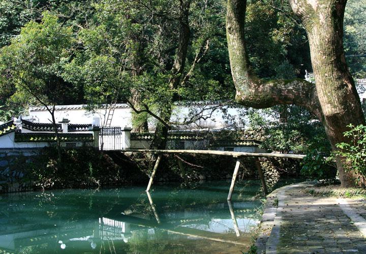 【原创】加明虎年摄影专辑 (不断增添中)