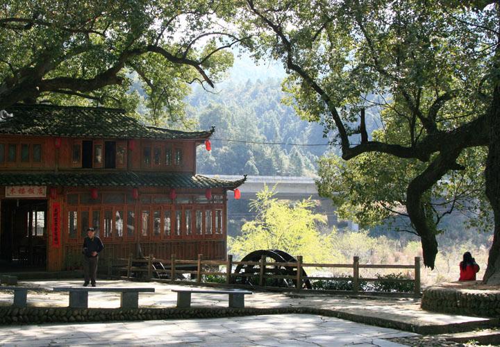 【原创】加明虎年摄影专辑 (不断增添中)