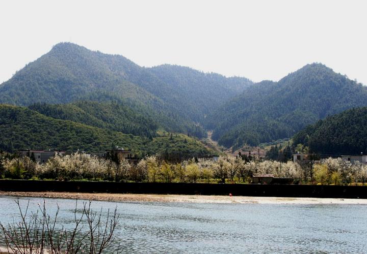 【原创】加明虎年摄影专辑 (不断增添中)