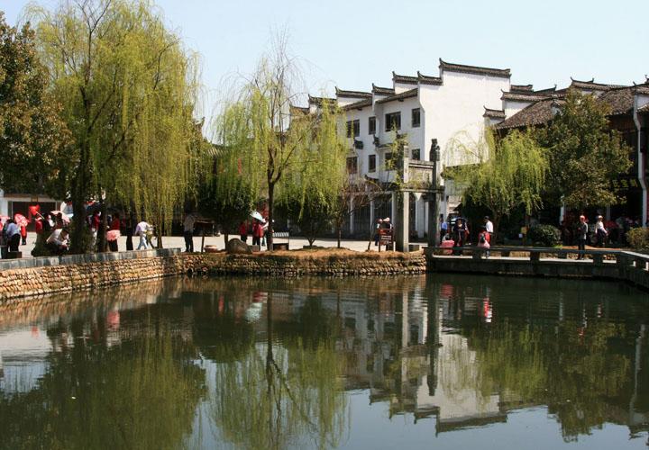 【原创】加明虎年摄影专辑 (不断增添中)