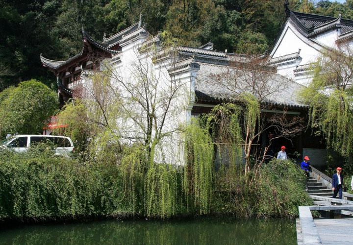 【原创】加明虎年摄影专辑 (不断增添中)