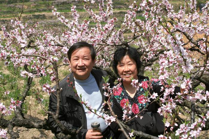 三聚桃花源