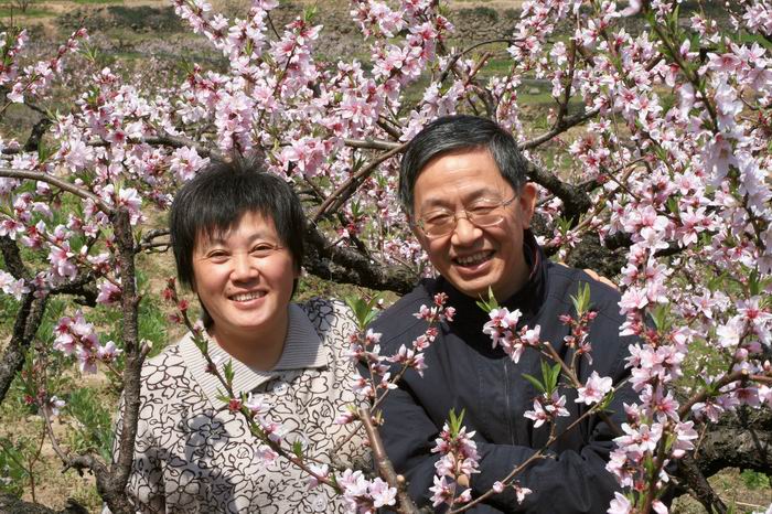 三聚桃花源