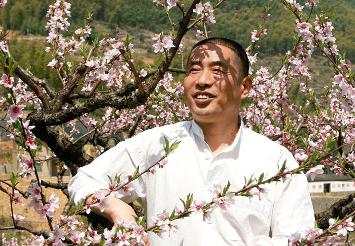 三聚桃花源