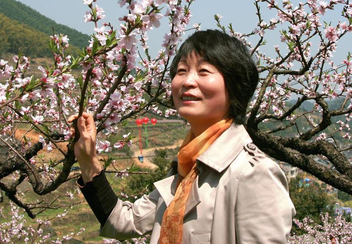 三聚桃花源