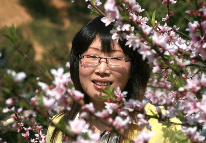 三聚桃花源
