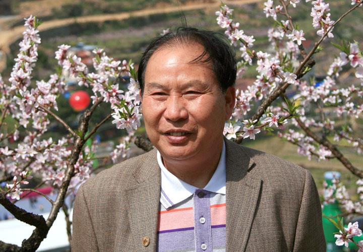 三聚桃花源