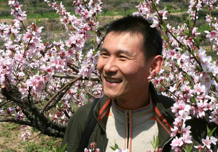 三聚桃花源