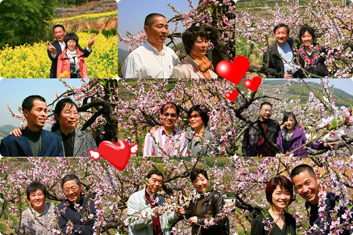 三聚桃花源