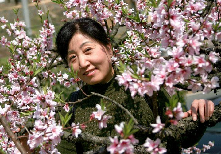 三聚桃花源